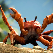 crab