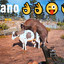 Ban Instinct