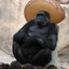 El Gorilla