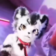 91银碳在线78插大13