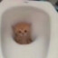 )