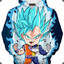 VEGITO.