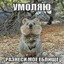 сунь хуйв чай
