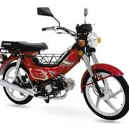 SHINERAY 50TINHA CSGOSKINS