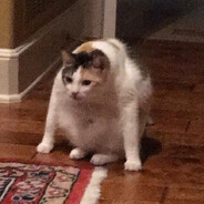 NASI CUMI HITAM PAK KRIS