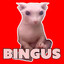 Bingus