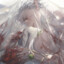 Larvae_Knotch
