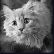 Karma Steam avatar