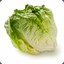 Lechuga