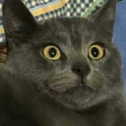 难过都藏在心里吧