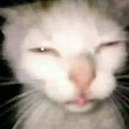 wrd0g | MORI ME RIZE