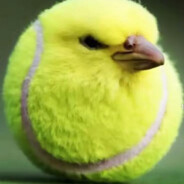 tennisballbird