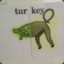 Tom Turt