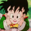 Gohan Chikito