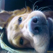 Serpu - steam id 76561197961350422
