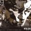 Shadow-UK (O.C.Reg)