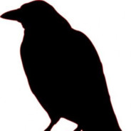 Undeadcorvid avatar