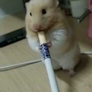 狗熊岭第二扛坝子