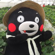 rabbio