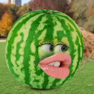 少管所樱桃祭司