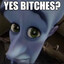 Yes bitches?
