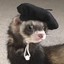 Ferret the Ferret