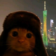 miko_cat