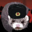 Revolutionary Weasel