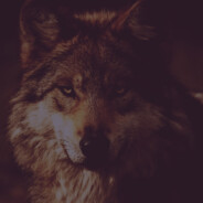 ᴋᴏɴᴇᴛs ʙʟɪᴢᴏᴋ.