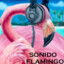 ❤Flamingo❤ [MG]