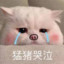 BliBli楠楠 21193759