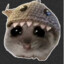 Aki