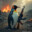 American Penguin
