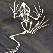 Bonefrog - steam id 76561197965518806