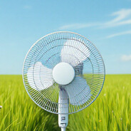 average fan