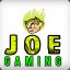 JoeGaming31