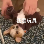 坐在邦邦上打路由器