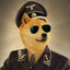 Marshal Doge