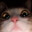 Pip