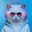 SCREPPY_COCO