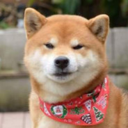 SPLA_萬將輕春桂虎令刀