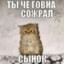 Faxy_F