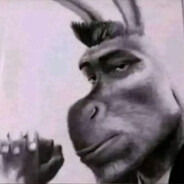 Donkey