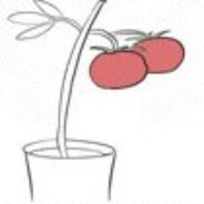 不制冷的AIR conditioner