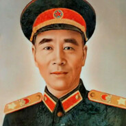 坠机王木木虎彡