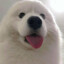 昔から