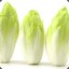 Endive 2.0