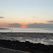 请你吃大黑鞋垫