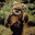 wicket