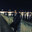 ZoPsy_
